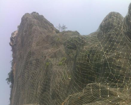 14319337719509977.jpg 14319337719509977.jpg