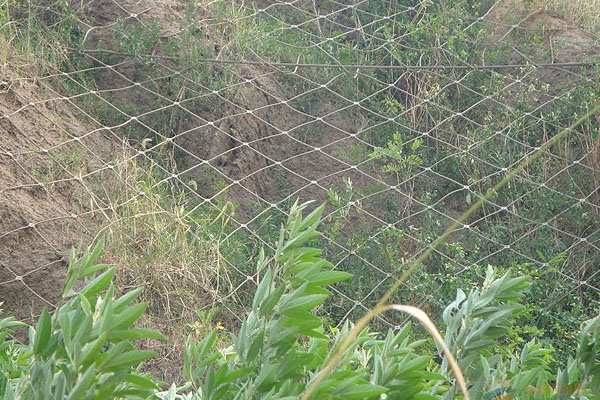 ߅�����Է��o(h��)�W(w��ng)ʩ��